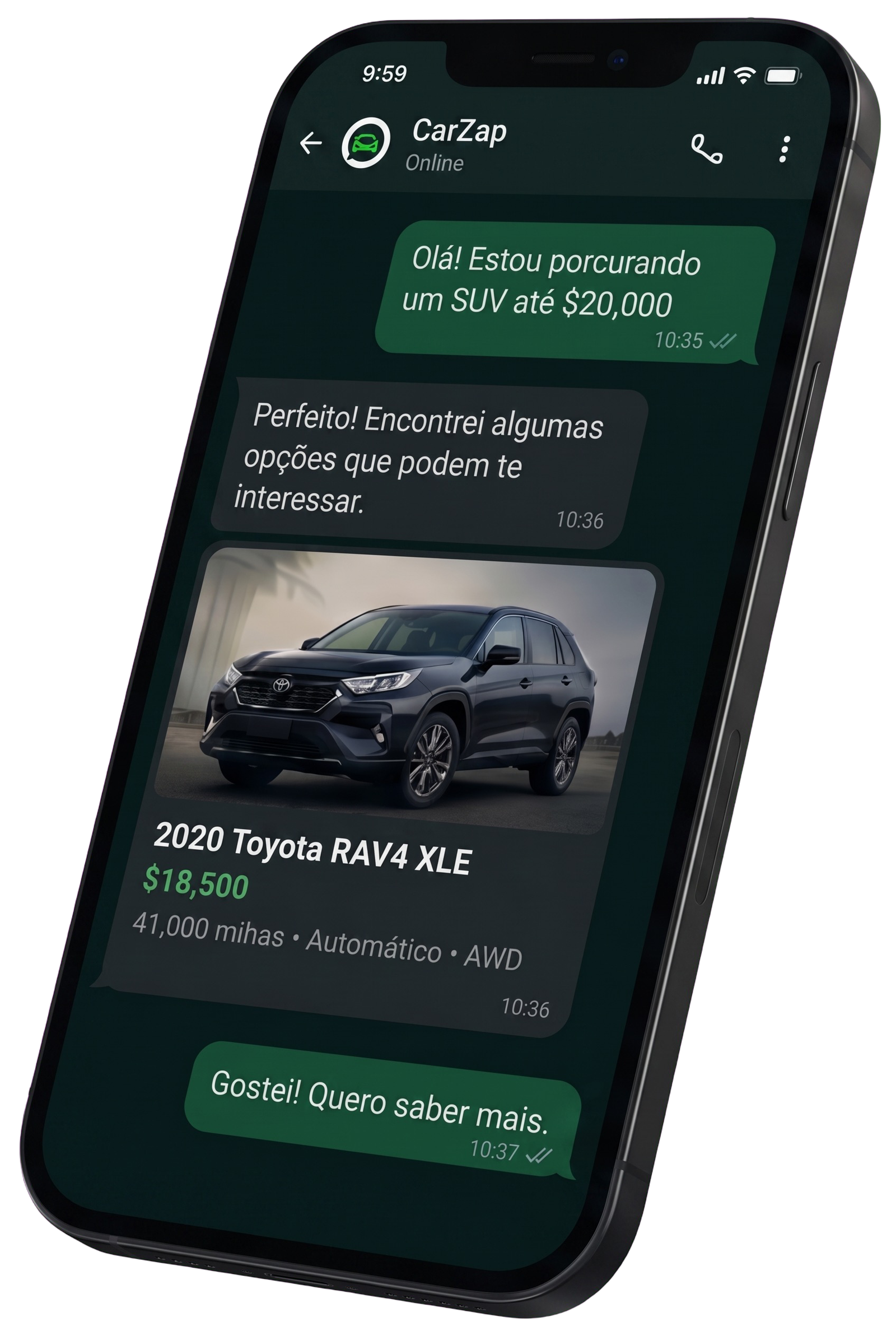 CarZap no WhatsApp